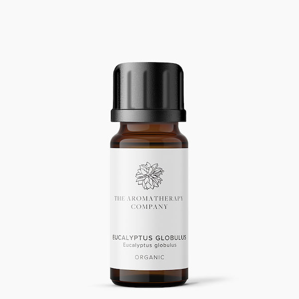 Eucalyptus Globulus Organic Essential Oil 10ml