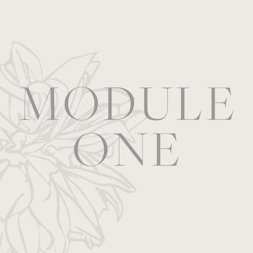 Online Clinical Aromatherapy Diploma Module 1 The Aromatherapy Company