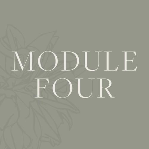 Online Clinical Aromatherapy Diploma Module 4 The Aromatherapy Company